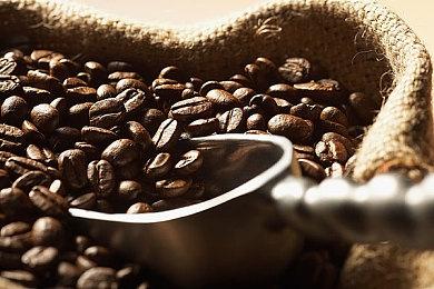 《我的世界》联动BBC纪录片 推出《冰冻星球》地图