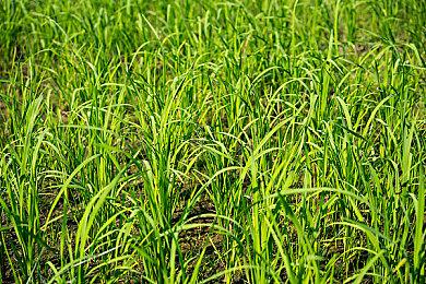 《守望先锋2》2023年周年活动开启 被玩家批评诚意不足